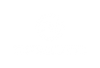 cfmoto-white